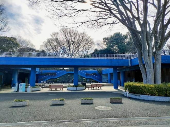 展望デッキ下の広場。青い通路の下にベンチが並ぶ