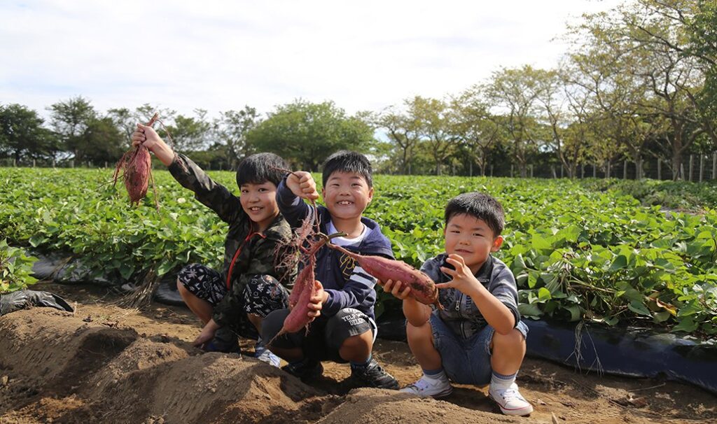 畑でさつまいもを掲げる子どもたち