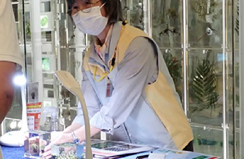 標本を並べたワゴンでの実演