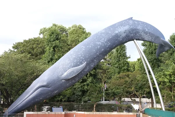 屋外に置かれたシロナガスクジラの実物大模型