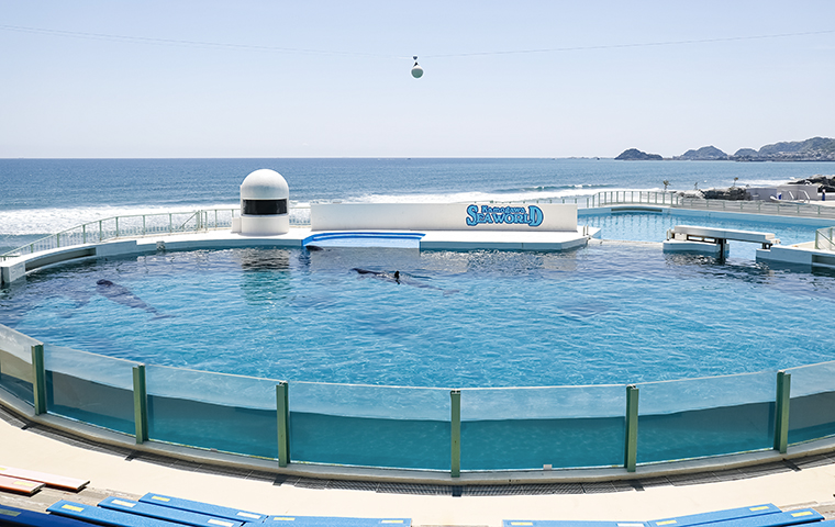 海を背にした円形のプールと、階段状に並ぶ客席