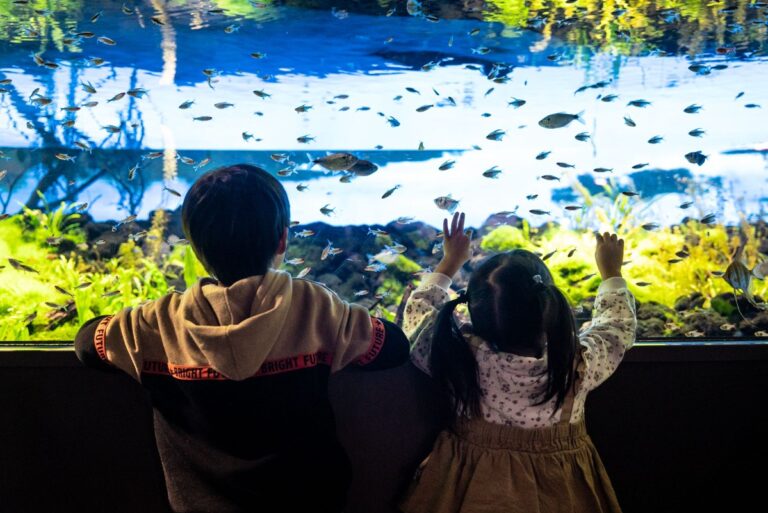 水槽の前に並んで座り、手を伸ばして魚を見る子ども2人