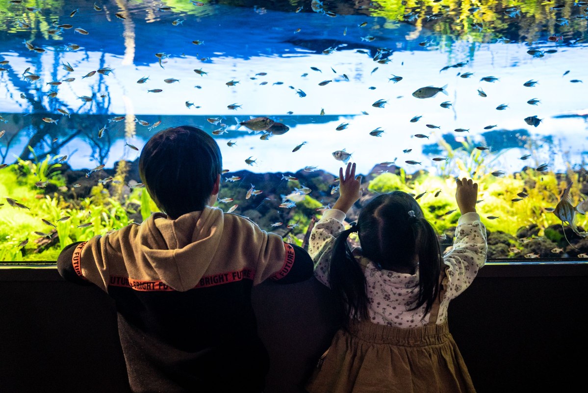 水槽の前に並んで座り、手を伸ばして魚を見る子ども2人