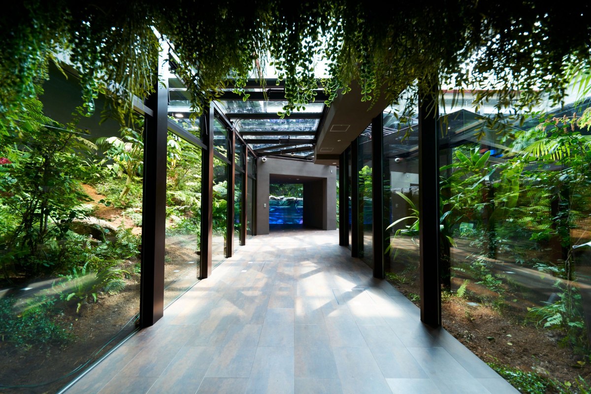 植物に囲まれた館内の通路。床は平らで幅が広い