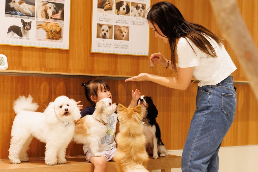 ふれあいDog parkで小さな子どもが犬たちに囲まれている
