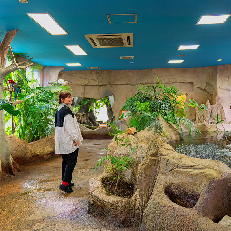 岩と植物で組まれた屋内の展示ホール。天井に照明が並ぶ
