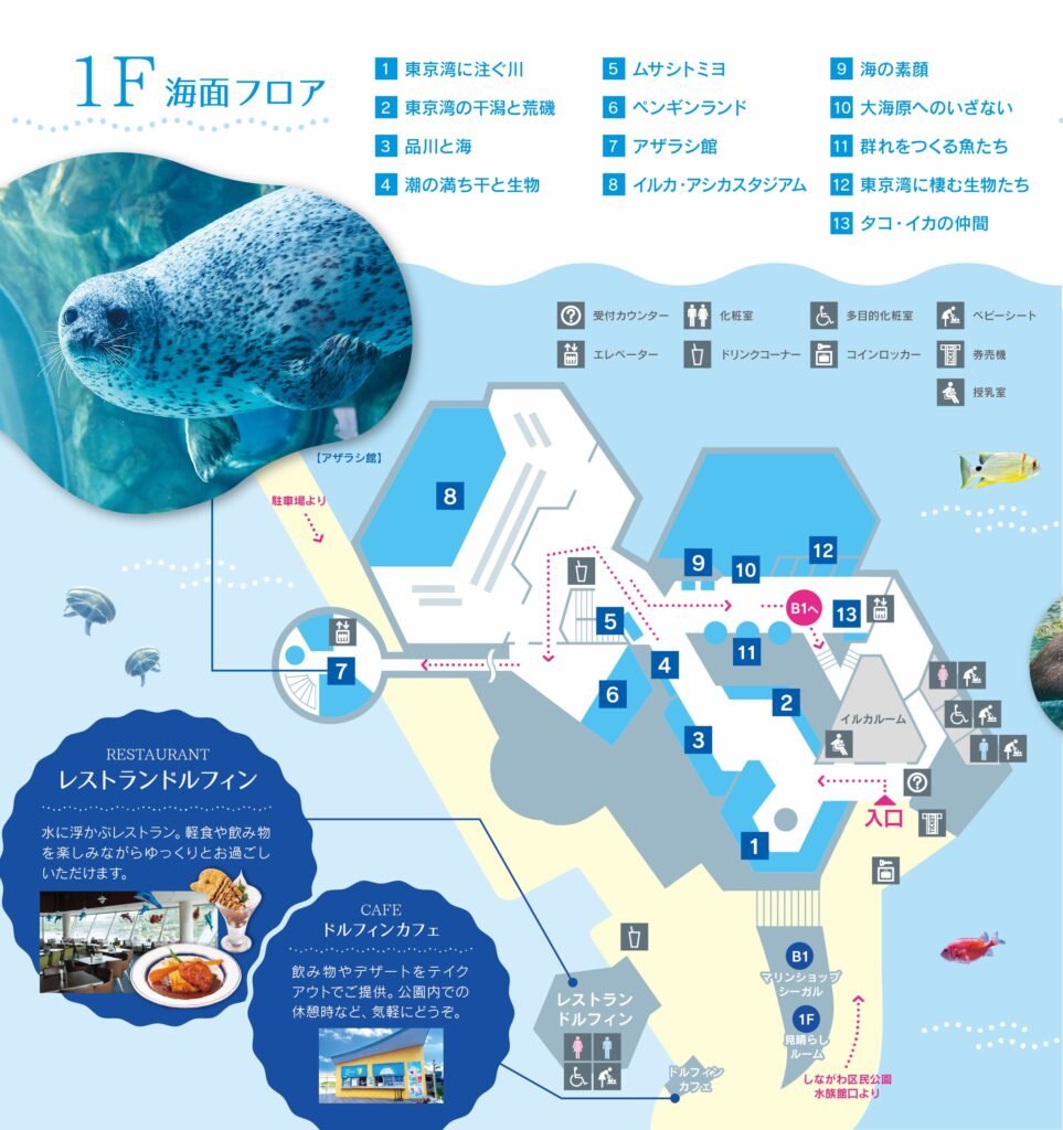 しながわ水族館 1階のフロアマップ