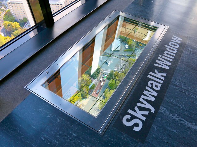 メインデッキ1階のガラス床「スカイウォークウィンドウ」