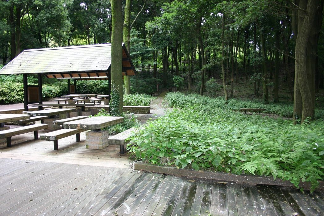 屋根付きのピクニックテーブルが並ぶ休憩所