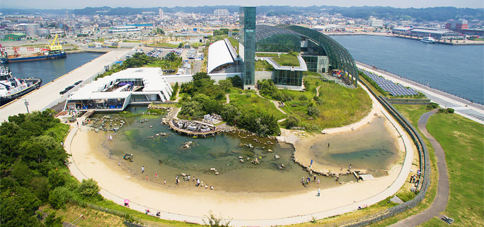 水族館の建物の前に広がる、砂浜と磯を再現した屋外の水辺を空から見たところ