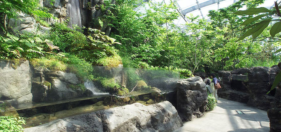 ガラス屋根の下で、岩と緑の間を川が流れる展示