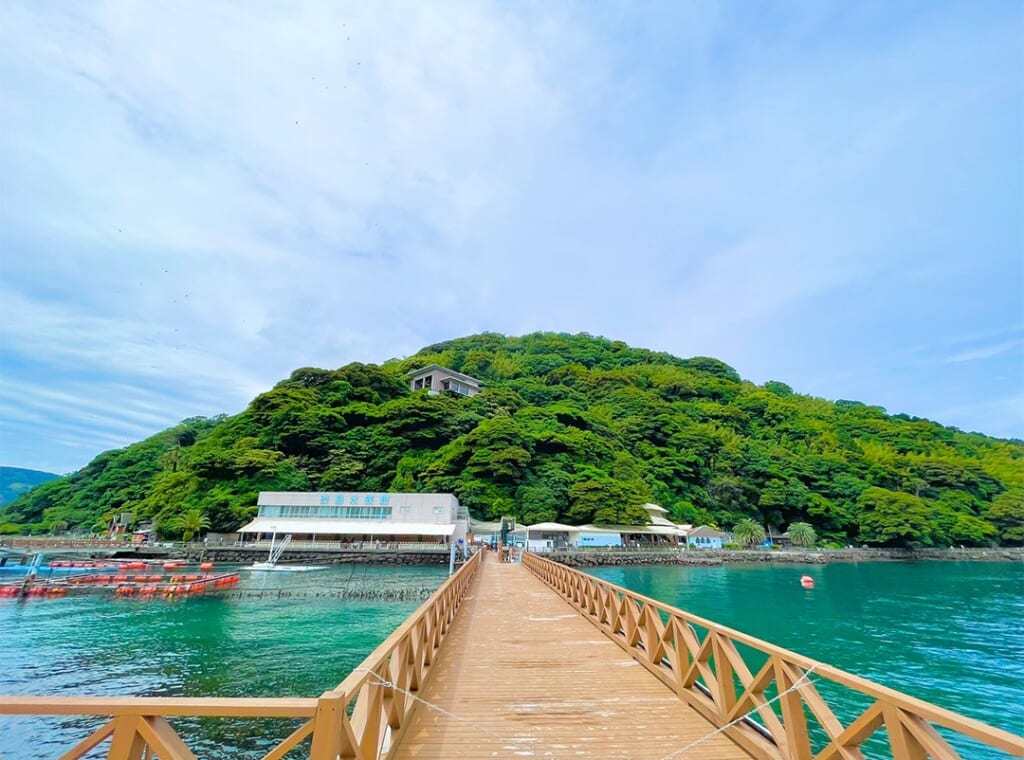 木の桟橋の先に、緑の島と白い淡島水族館の建物が見える
