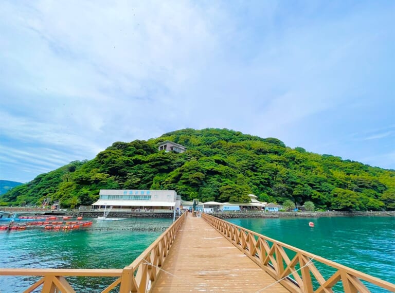 木の桟橋の先に、緑の島と白い淡島水族館の建物が見える