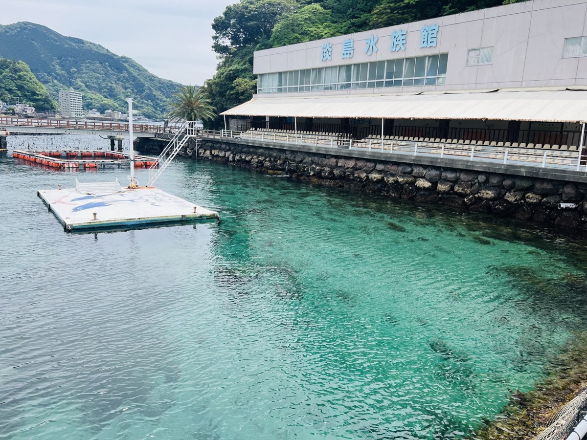 「淡島水族館」の文字がある建物と、前に広がる澄んだ海
