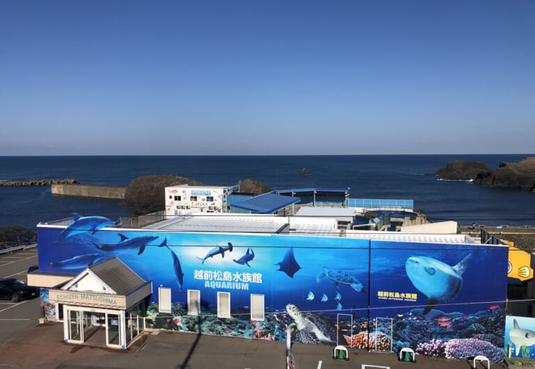 日本海の海岸に建つ、イルカの絵が描かれた水族館の建物