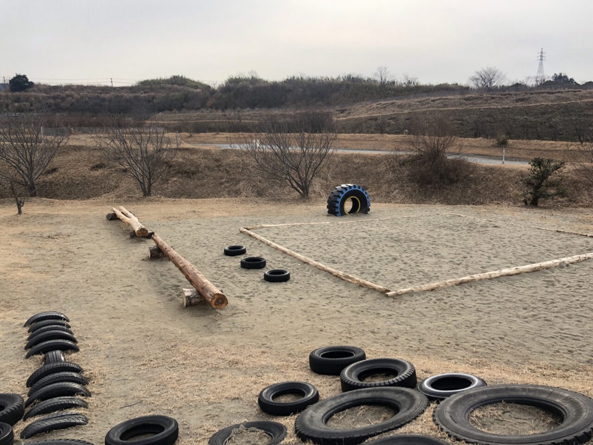 広い砂地に、丸太のシーソーとタイヤを埋めた遊具が置かれている