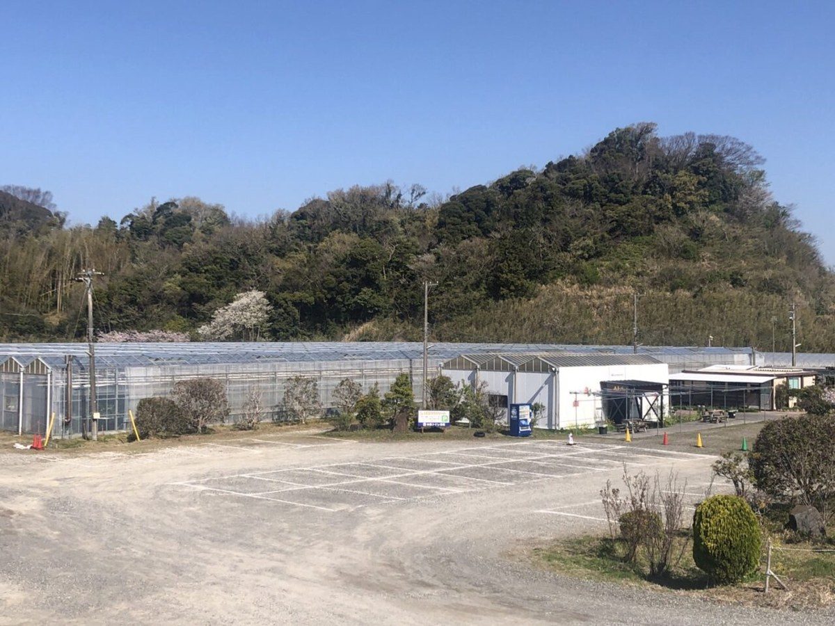 砂利敷きの駐車場の奥に横長のビニールハウスが並び、その向こうに低い山が見える