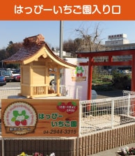 いちご園の入口。看板が立っていて、奥にビニールハウスが見える