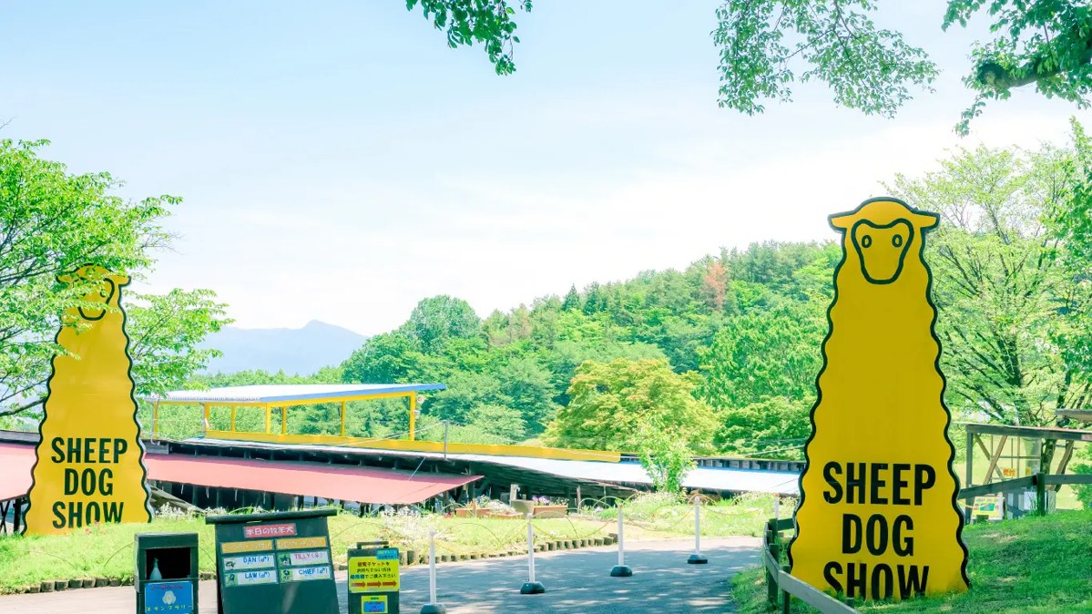 「SHEEP DOG SHOW」と書かれた黄色い看板が立つ屋外の会場