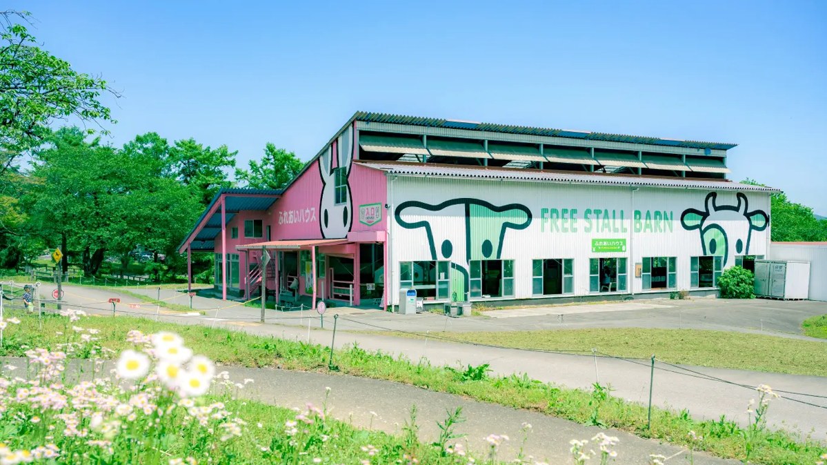 牛の絵が描かれた大きな建物と、手前に広がる白い花の畑