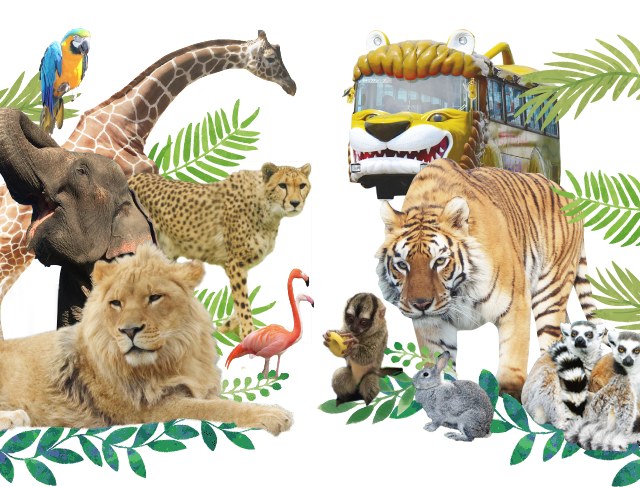 キリン・ゾウ・ライオン・トラ・チーター・フラミンゴなど園の動物たち