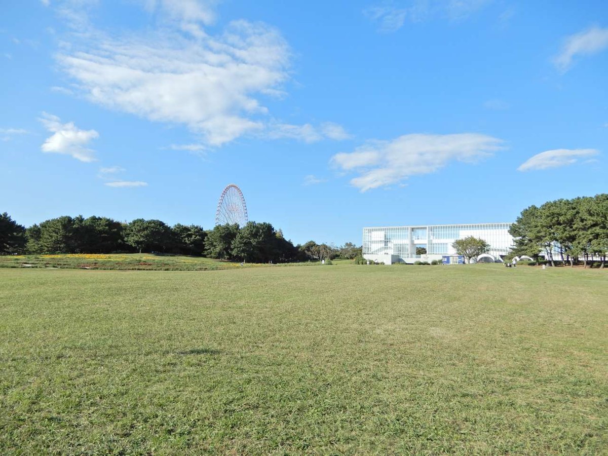 青空の下に広がる展望広場の芝生。奥に大観覧車と白い建物が見える