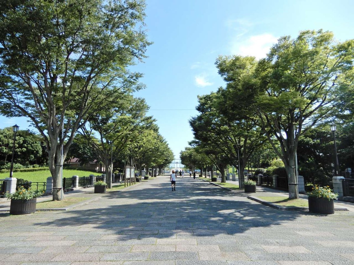 並木に挟まれてまっすぐ延びる中央園路
