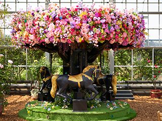 温室の中に置かれたメリーゴーランド。屋根が色とりどりの花で木のように覆われ、その下に黒い馬が並んでいる