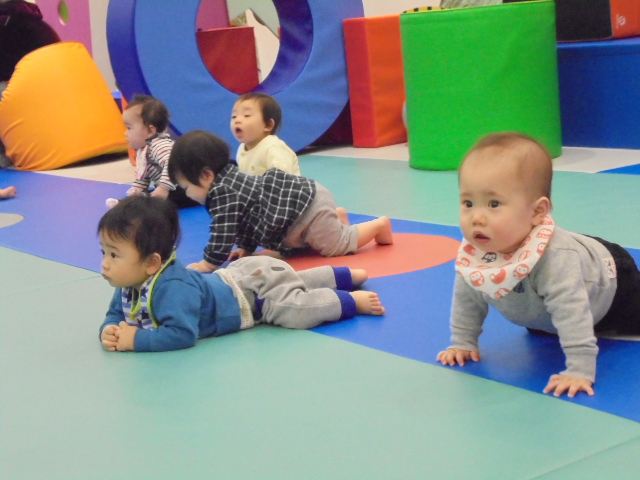 マットの上でハイハイの姿勢をとる赤ちゃん5人。ベビーイベント「ハイハイチャレンジ」の様子
