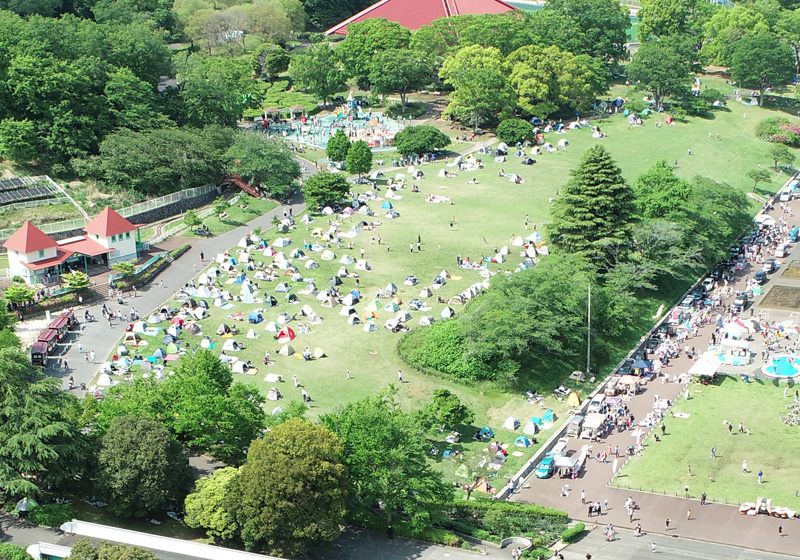 広い芝生の斜面を上から見たところ。日よけテントとレジャーシートが一面に広がっている