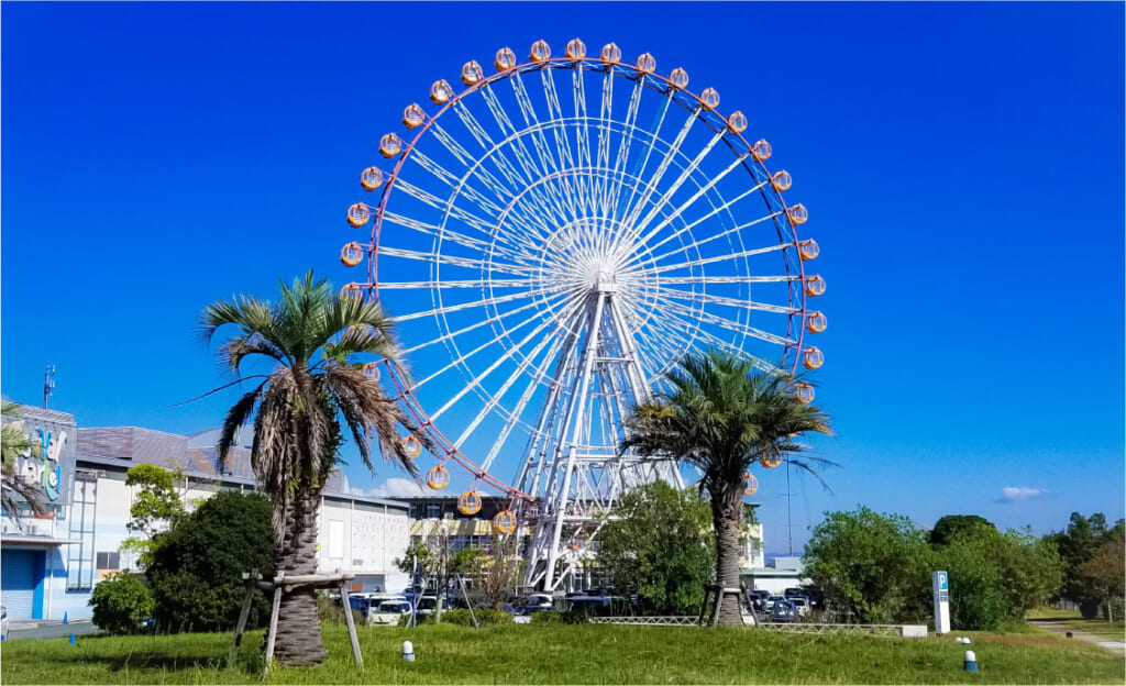 青空の下に立つ大きな観覧車とヤシの木