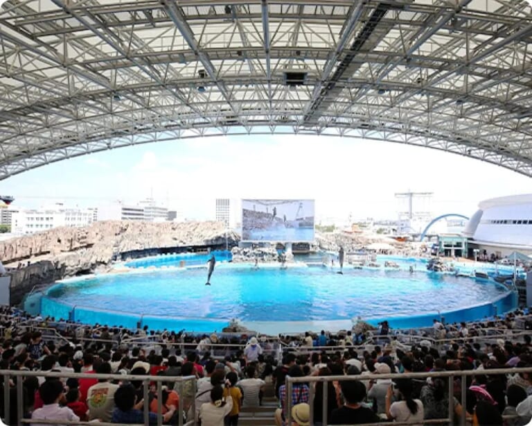 鉄骨の大屋根の下に広がるメインプールと、それを囲むスタジアムの観客席