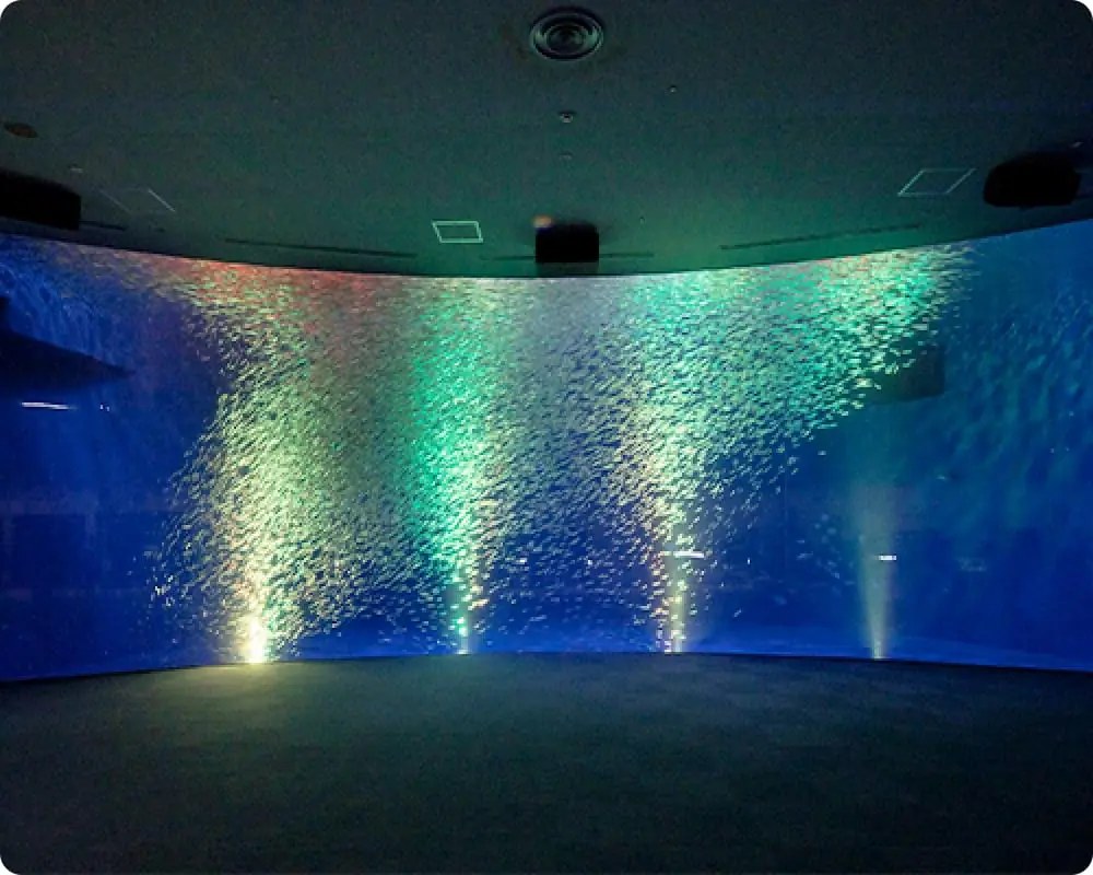 暗い展示室の奥で、大水槽の中を魚の群れが光りながら泳ぐ