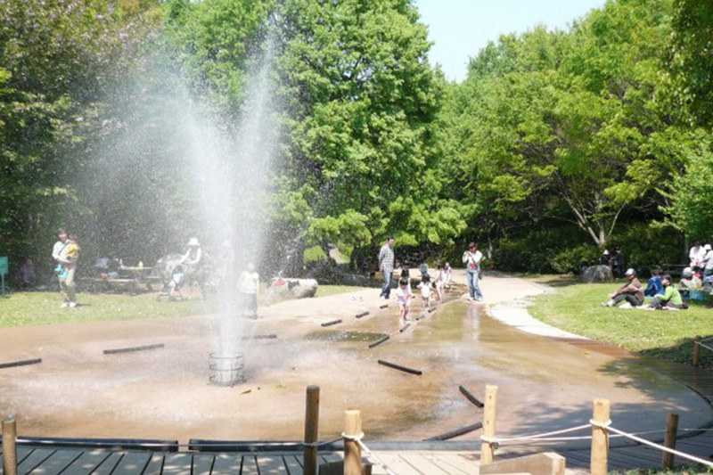傾斜地につくられた水の流れと噴水
