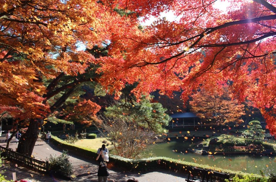 池のまわりを赤と橙に染める紅葉