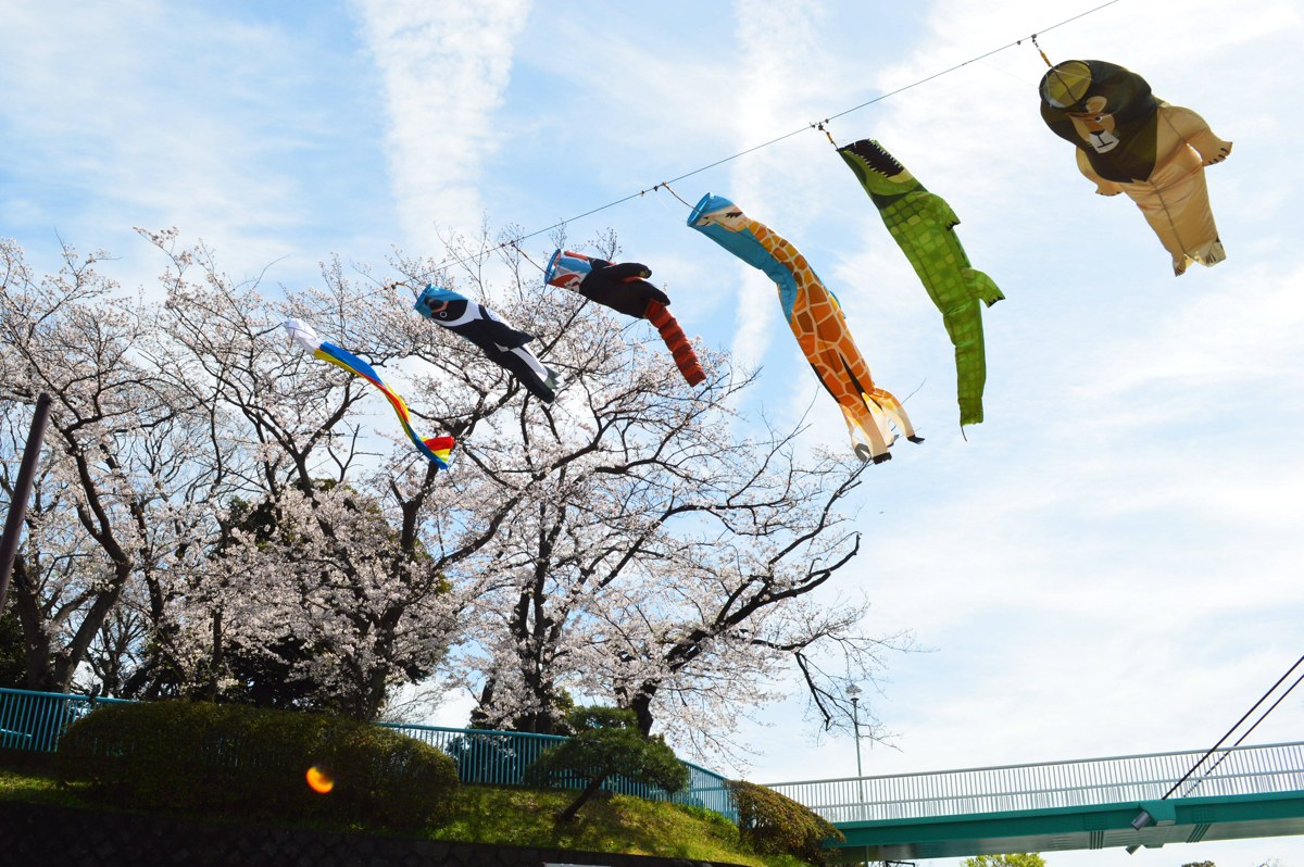桜の木の上に、動物をかたどったこいのぼりが並んで泳いでいる
