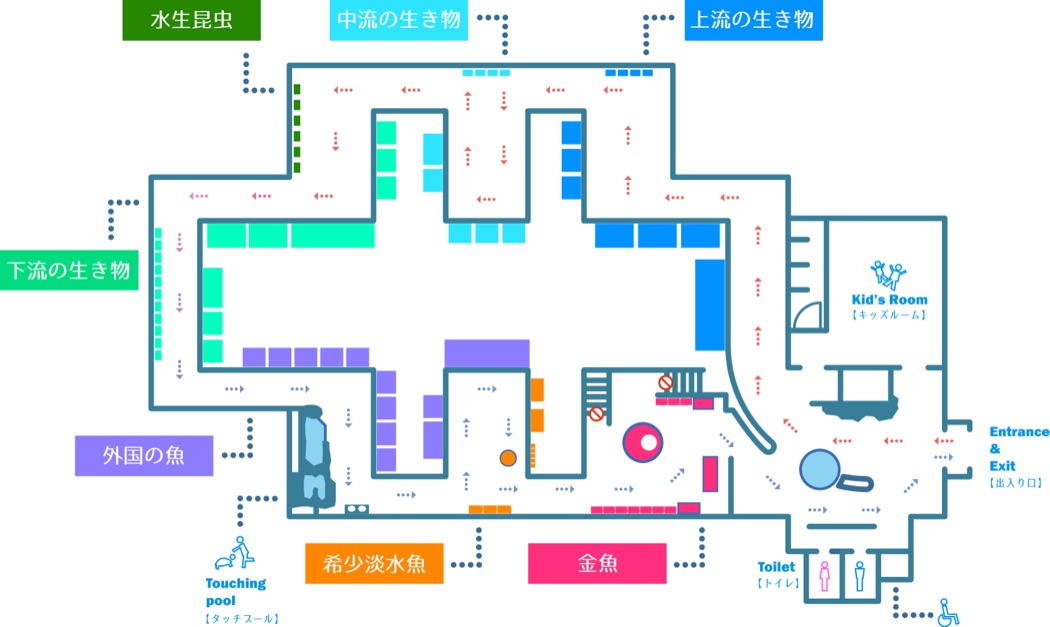 水族館本館の館内マップ。上流・中流・下流・外国の魚・希少淡水魚・金魚のコーナーと、入口横のキッズルーム、タッチプールが色分けで描かれている