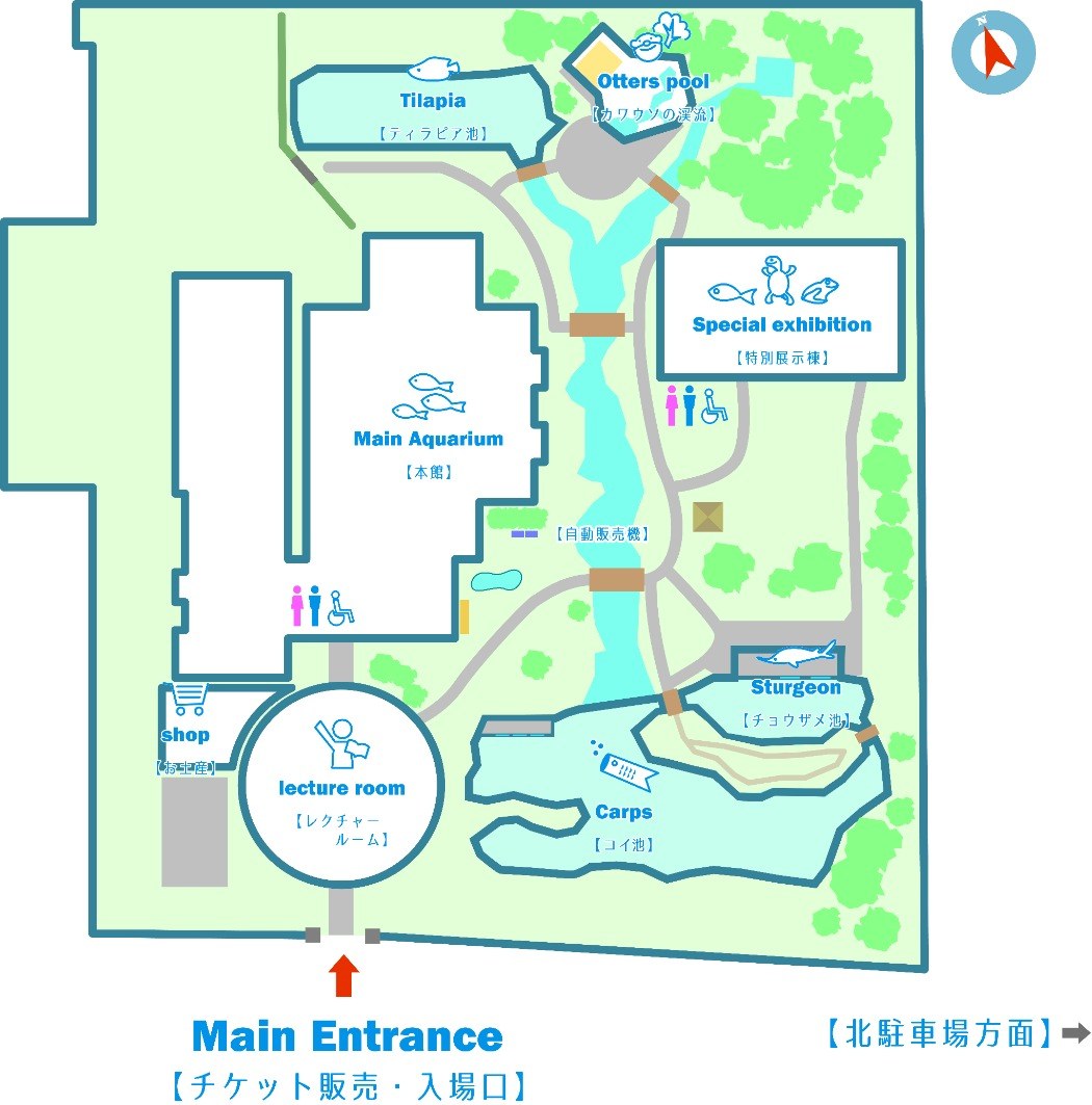水族館の敷地内マップ。本館、特別展示棟、カワウソの渓流、コイ池、チョウザメ池、ティラピア池、売店の位置が描かれている
