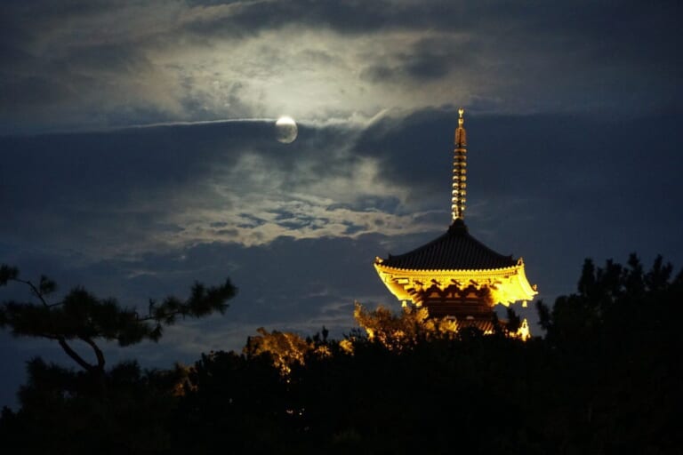 夜空の下でライトアップされた三重塔