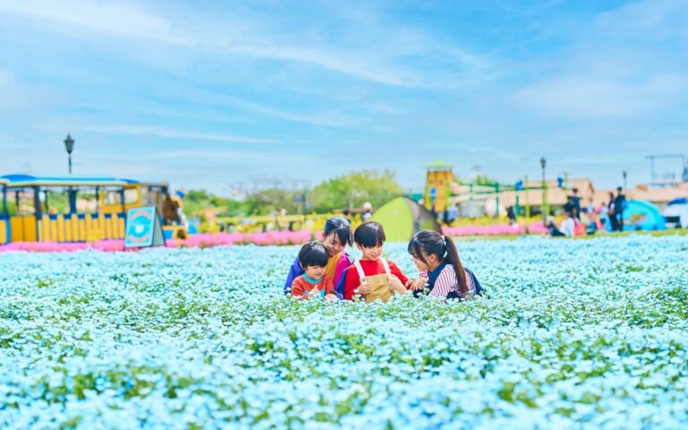 一面に咲く水色の花畑の中に、子ども3人と大人が座っている。奥に遊具と青空が広がる