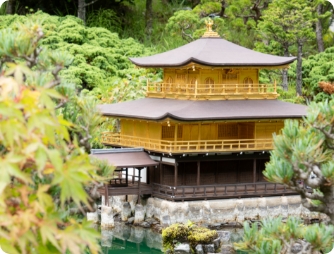 池のほとりに建つ金色の金閣寺。手前に紅葉した枝がかかっている
