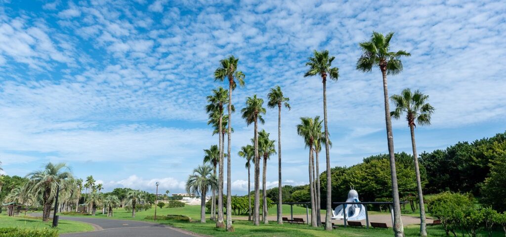 ヤシの木が並ぶ芝生の園路。舗装は平らで段差がなく、奥に白いくじらの形をした遊具が見える