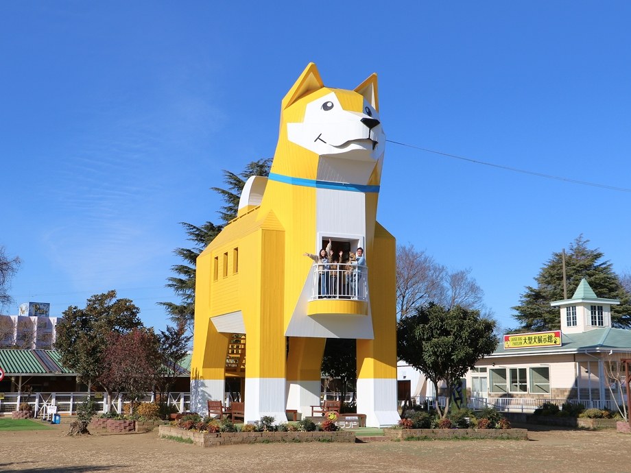 青空の下に建つ、黄色い柴犬の形をした木造の展望台。胸の位置にバルコニーがある