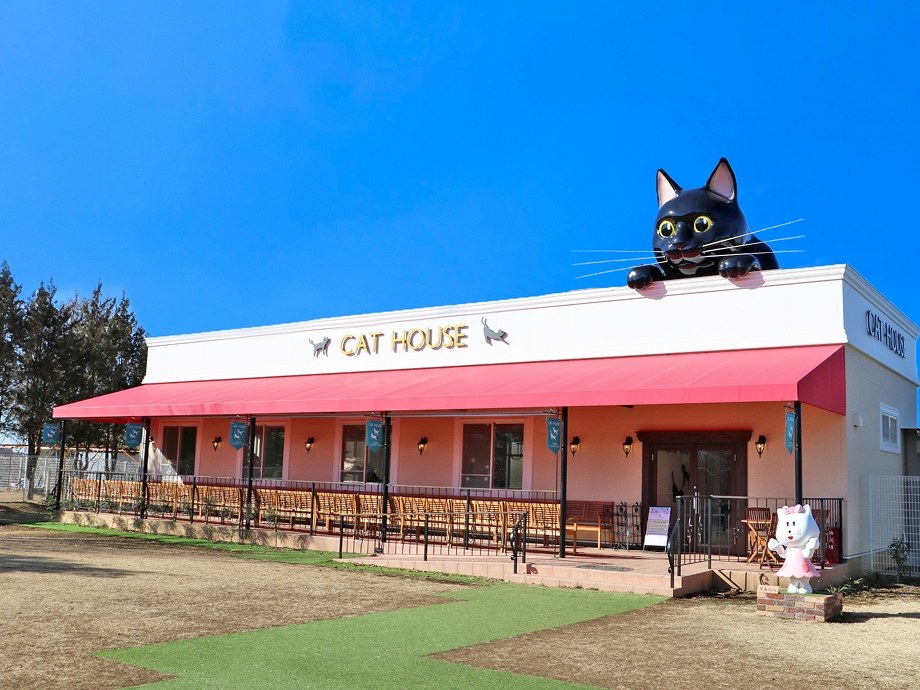 CAT HOUSEと書かれた横長の建物。屋根の上に大きな黒猫の造形物が乗っている