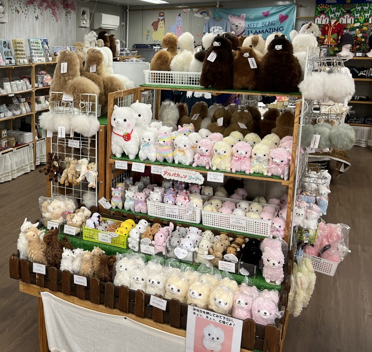 アルパカのぬいぐるみが棚いっぱいに並ぶ売店