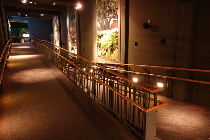 手すりの付いたスロープが続く館内の通路