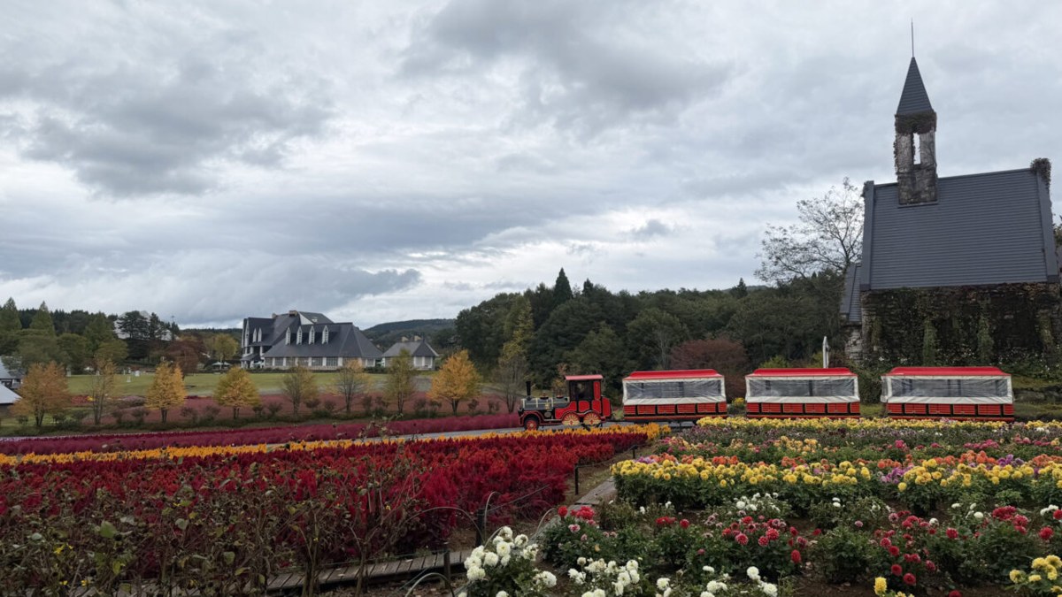 花畑の向こうを走るロードトレインと教会
