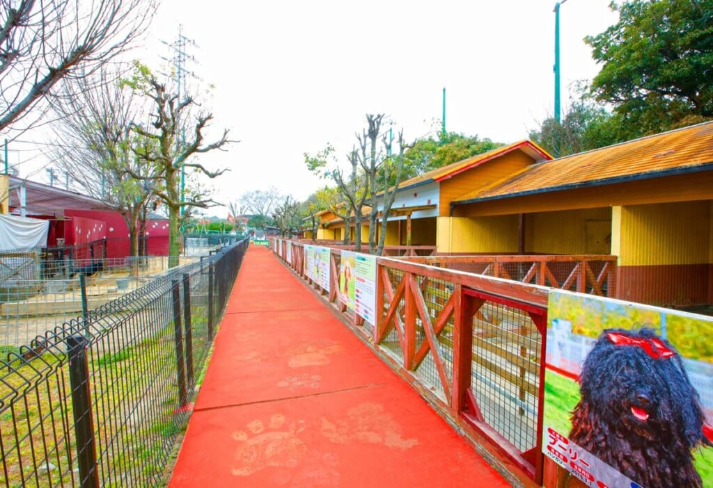 赤い通路に沿って、フェンス越しに犬の展示スペースが並ぶ。手前の看板に黒い長毛の犬の写真