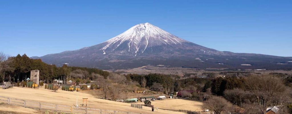 冠雪した富士山のふもとに広がるまかいの牧場の敷地