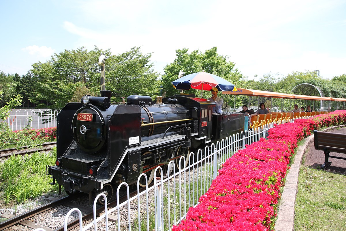 赤い花の植え込みに沿って、黒い汽車が客車を引いている
